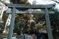 代々木八幡宮の鳥居