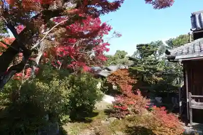 宝筐院(京都府)