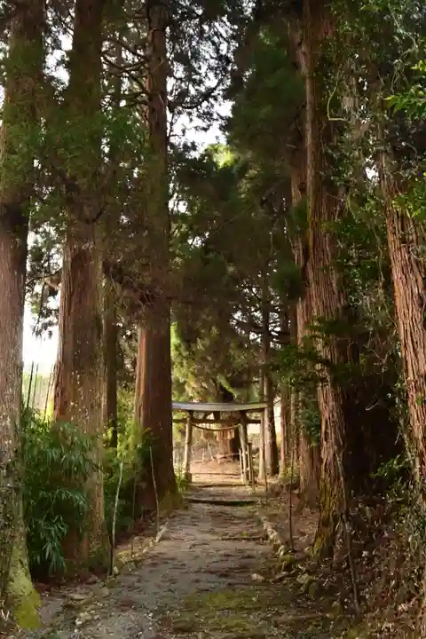 中畑神社(宮崎県)