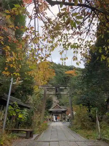 大豊神社の鳥居