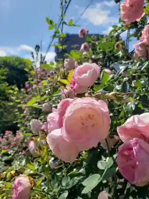 薬師寺　南蔵院 (東京都)