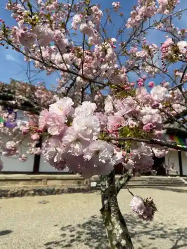 新薬師寺の自然