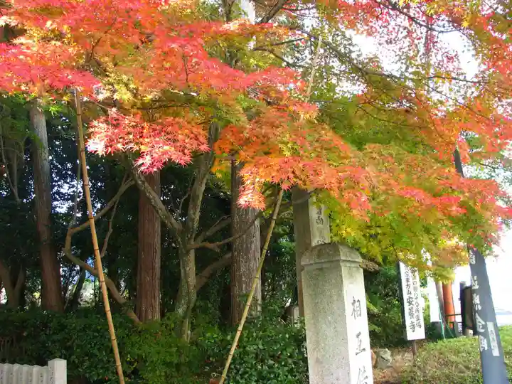 安養寺のその他建物