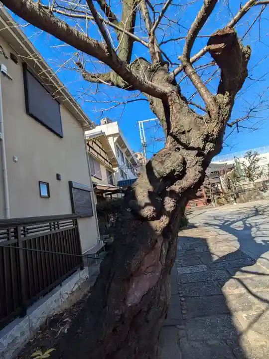 瑞泰寺(東京都)