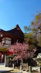 伊豫豆比古命神社の建物その他