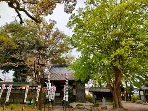 音楽寺のその他建物