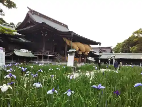 宮地嶽神社の庭園