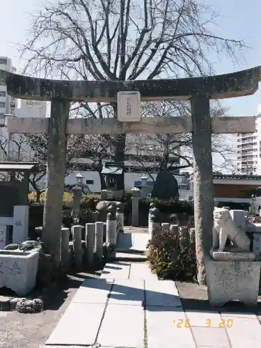 亀山八幡宮の{uncategorized: "未分類", other: "その他", undefined: "問題あり", building: "その他建物", grave: "お墓", sacred_gate: "鳥居", guardian: "狛犬", statue: "像", buddha: "仏像", history: "歴史", nature: "自然", garden: "庭園", animal: "動物", pagoda: "塔", temizu: "手水舎", mountain_gate: "山門・神門", sanctuary: "本殿・本堂", subordinate: "末社・摂社", art: "芸術", scenery: "景色", jizo: "地蔵", ema: "絵馬", goshuin: "御朱印", omikuji: "おみくじ", items: "授与品その他", amulet: "お守り", goshuincho: "御朱印帳", eats: "食事", festival: "お祭り", votive_dance: "神楽", shichigosan: "七五三参", wedding: "結婚式", experience: "体験その他", initially: "初詣", around: "周辺", anti_infection: "感染症対策"}