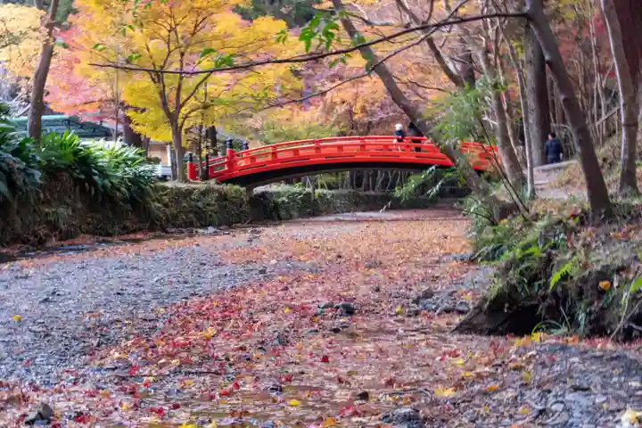 小國神社(静岡県)