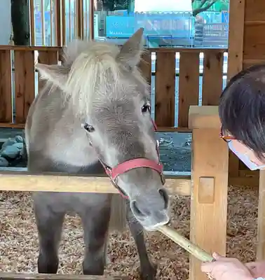 平塚八幡宮(神奈川県)