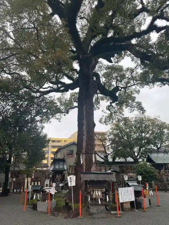 正八幡宮(福岡県)