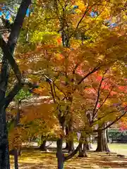 眞田神社(長野県)