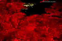 大山寺(神奈川県)