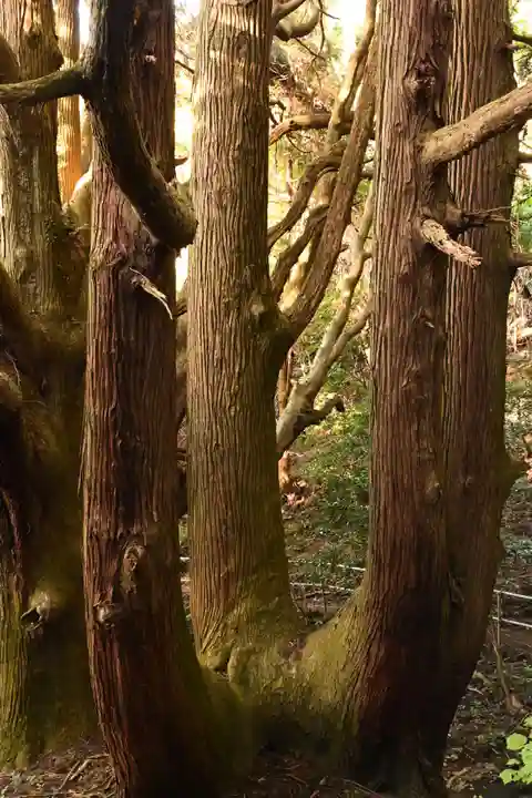 祖母神社(熊本県)