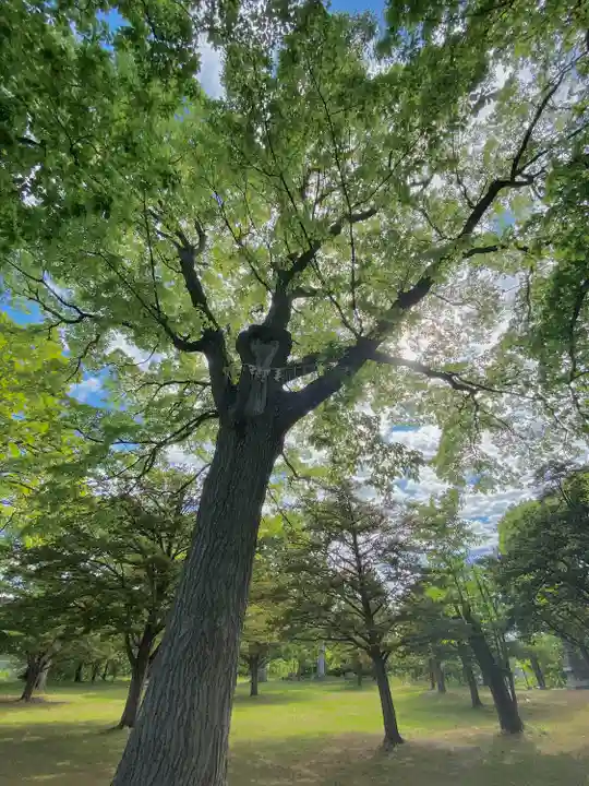 厚別神社(北海道)