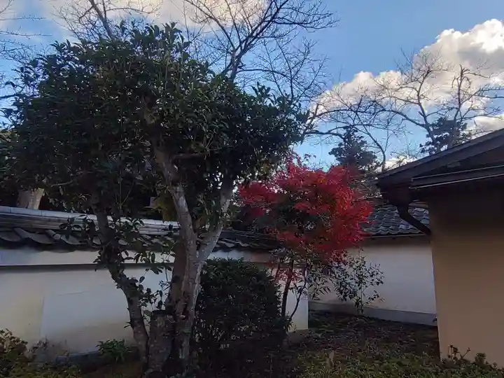 毘沙門堂門跡のその他建物