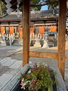 阿保神社(大阪府)(2025年02月04日(火) 12時05分16秒投稿)
