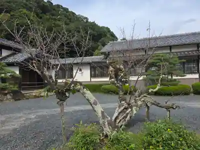 山王宮日吉神社(京都府)
