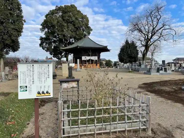 下野薬師寺 (旧 安國寺)(栃木県)