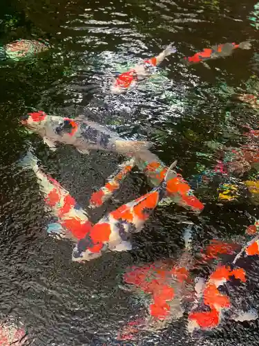 感通寺(東京都)