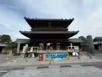 大通寺(長浜御坊)の{uncategorized: "未分類", other: "その他", undefined: "問題あり", building: "その他建物", grave: "お墓", sacred_gate: "鳥居", guardian: "狛犬", statue: "像", buddha: "仏像", history: "歴史", nature: "自然", garden: "庭園", animal: "動物", pagoda: "塔", temizu: "手水舎", mountain_gate: "山門・神門", sanctuary: "本殿・本堂", subordinate: "末社・摂社", art: "芸術", scenery: "景色", jizo: "地蔵", ema: "絵馬", goshuin: "御朱印", omikuji: "おみくじ", items: "授与品その他", amulet: "お守り", goshuincho: "御朱印帳", eats: "食事", festival: "お祭り", votive_dance: "神楽", shichigosan: "七五三参", wedding: "結婚式", experience: "体験その他", initially: "初詣", around: "周辺", anti_infection: "感染症対策"}