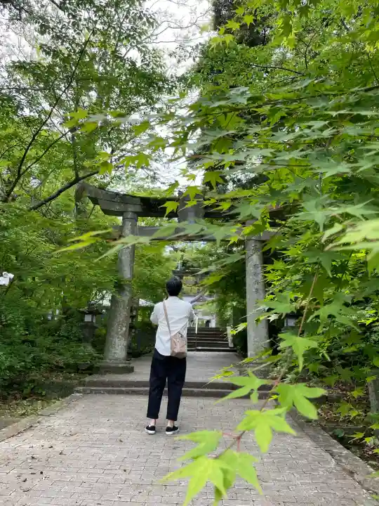 矢上神社の{uncategorized: "未分類", other: "その他", undefined: "問題あり", building: "その他建物", grave: "お墓", sacred_gate: "鳥居", guardian: "狛犬", statue: "像", buddha: "仏像", history: "歴史", nature: "自然", garden: "庭園", animal: "動物", pagoda: "塔", temizu: "手水舎", mountain_gate: "山門・神門", sanctuary: "本殿・本堂", subordinate: "末社・摂社", art: "芸術", scenery: "景色", jizo: "地蔵", ema: "絵馬", goshuin: "御朱印", omikuji: "おみくじ", items: "授与品その他", amulet: "お守り", goshuincho: "御朱印帳", eats: "食事", festival: "お祭り", votive_dance: "神楽", shichigosan: "七五三参", wedding: "結婚式", experience: "体験その他", initially: "初詣", around: "周辺", anti_infection: "感染症対策"}