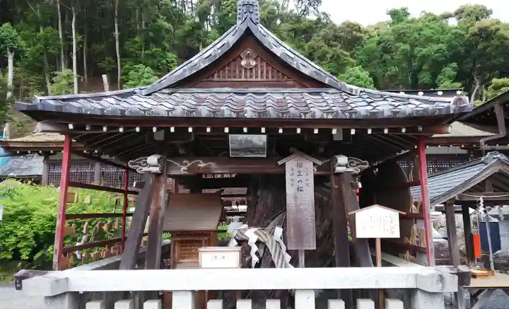 松尾大社のその他建物