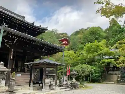 今熊野観音寺(京都府)
