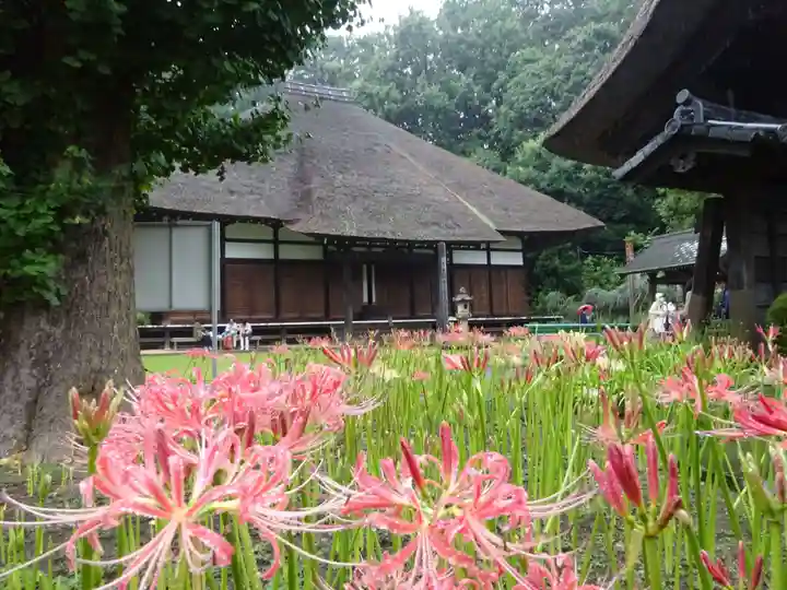 横浜 西方寺の本殿・本堂