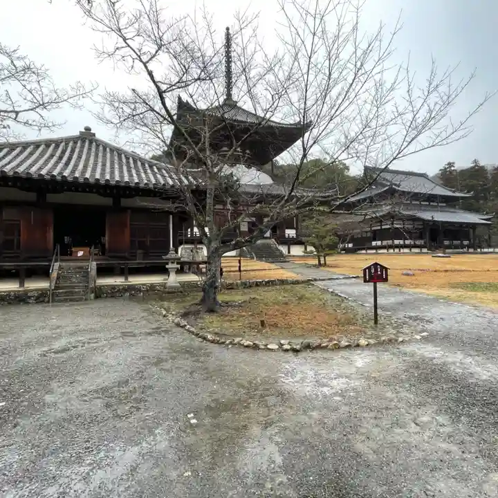 根来寺(和歌山県)