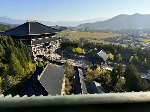 清大寺(越前大仏)(福井県)