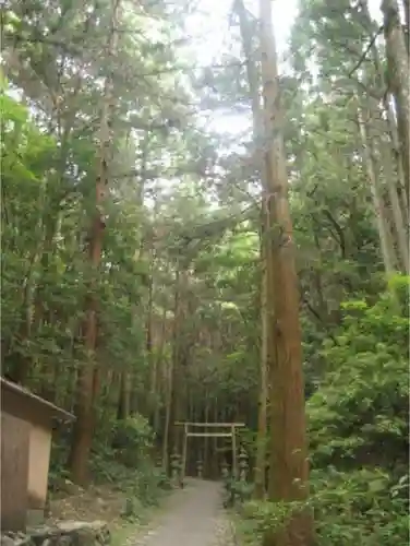 天の岩戸神社の鳥居