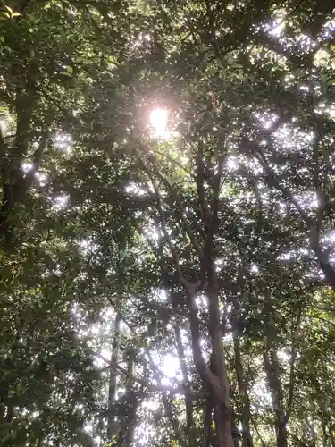 清洲山王宮　日吉神社の自然