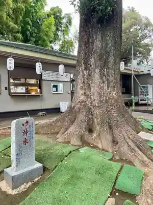 西堀氷川神社(埼玉県)