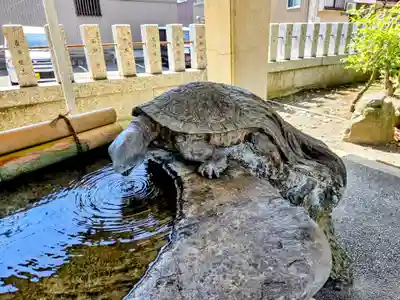 杉杜白髭神社(福井県)