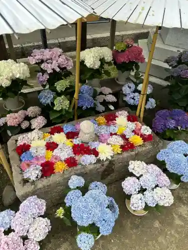 岡寺（龍蓋寺）(奈良県)