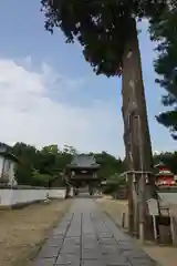 與田寺の山門