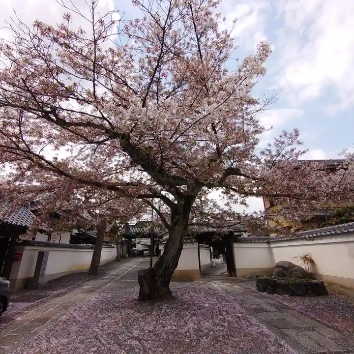 正寿院(京都府)