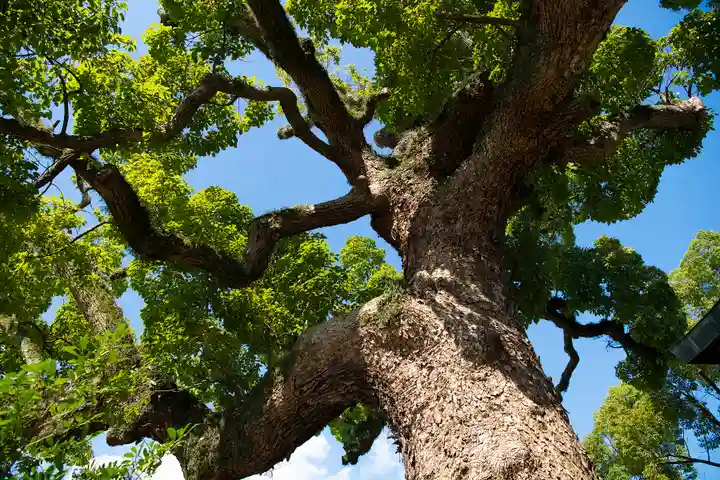 別宮大山祇神社(愛媛県)