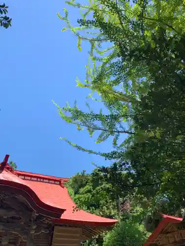 宇奈己呂和気神社の本殿