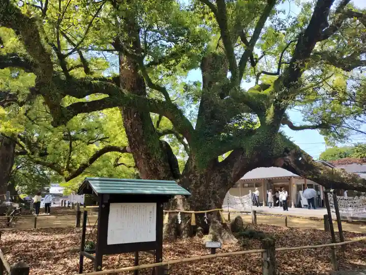 諫早神社(九州総守護 四面宮)(長崎県)
