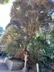 諏訪神社(千葉県)