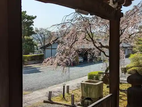 妙満寺(京都府)