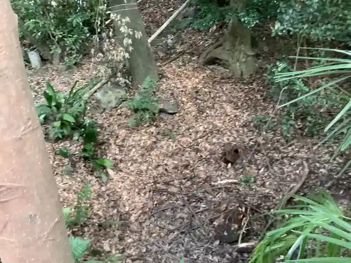 御手洗宮の自然