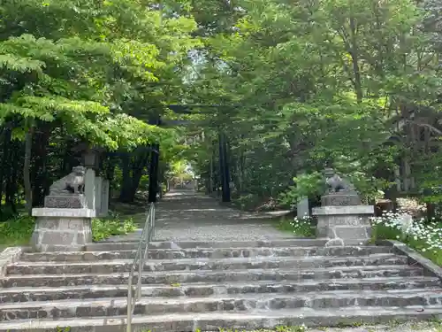 士別神社の狛犬