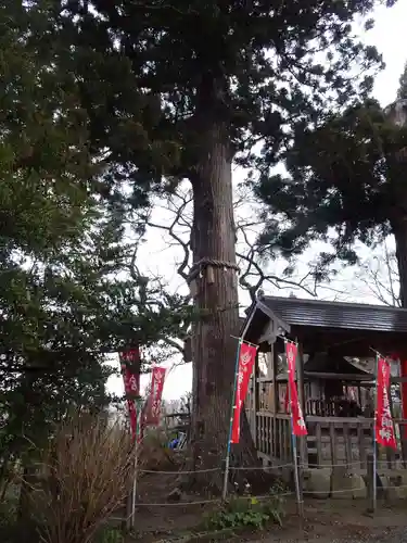 愛宕神社(宮城県)