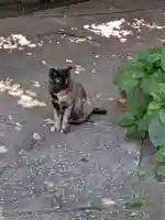 善養寺(東京都)