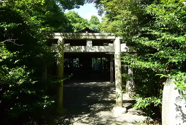 寒川神社の鳥居