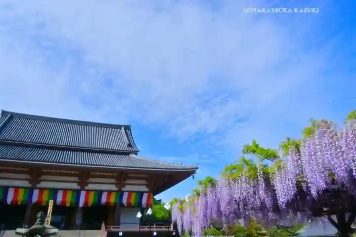 西新井大師総持寺(東京都)