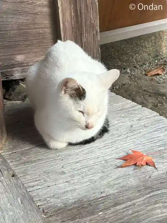 長岳寺(奈良県)